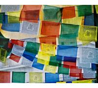 Véritable drapeau de prière bouddhiste tibétain en coton issu du commerce équitable - Fabriqué à la main au Népal - Lot de 5 cordes (50 drapeaux au total) - Motifs traditionnels de cheval à vent