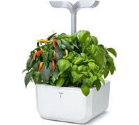 Véritable Exky SMART Jardin d'intérieur, blanc arctique