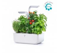 Veritable - Jardin D'intérieur Smart Arctic White