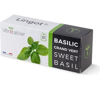 Véritable Lingot Basilic doux - Terreau pré-rempli de graines