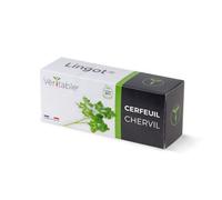 VÉRITABLE-Lingot Cerfeuil bio pour potager Véritable
