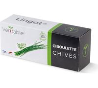 Véritable Lingot Ciboulette - Terreau pré-rempli de graines