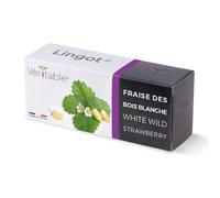 VÉRITABLE-Lingot Fraises des bois blanches Bio