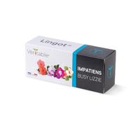 VÉRITABLE-Lingot Impatiens pour potager Véritable