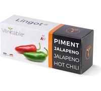 Véritable Lingot Jalapeño-Chili - Terreau pré-plantée