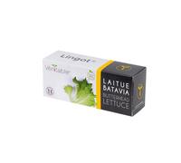 VÉRITABLE-Lingot Laitue Batavia Bio