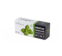 VÉRITABLE-Lingot Menthe marocaine bio pour potager Véritable