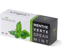 Véritable Lingot Menthe verte - Terreau pré-rempli avec graines