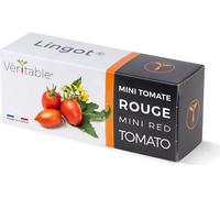 Véritable Lingot Mini-Tomate rouge - Terreau pré-plantée