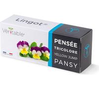 Véritable Lingot Pensées - terreau pré-implanté