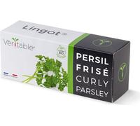 Véritable Lingot Persil frisé - terre pré-plantée