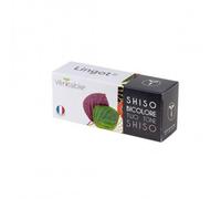 VÉRITABLE-Lingot Shiso bicolore pour potager Véritable