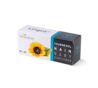 VÉRITABLE-Lingot Tournesol nain pour potager Véritable