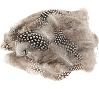 Véritable plumes de pintade Plumes décoratives Nature Blanc Pointillé 4-12cm pour décoration de printemps Nid de Pâques 100p