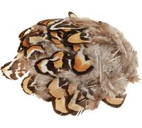 Véritable plumes d'oiseaux Plumes de décoration rayées Bricolage 3-4cm 60 pièces