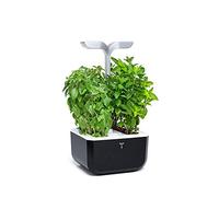 Véritable Potager de Cuisine - Exky Smart Soft Black