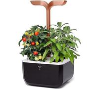 VÉRITABLE-Potager d'intérieur autonome compact Exky SMART Black Copper - livré avec 2 lingots