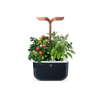 VÉRITABLE-Potager d'intérieur autonome compact Exky SMART Soft Black - livré avec 2 lingots