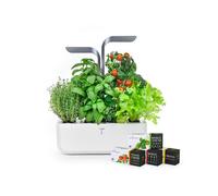VÉRITABLE-Potager d'intérieur autonome Véritable CONNECT Infinity Grey - livré avec 4 lingots