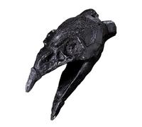 Véritable Sifflet de Conception de Bouche de Corbeau Hurlant | Sifflet de Mort Aztèque, Ornement d'Halloween, Son Étrange, Valeur Collection