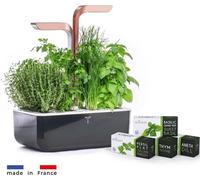 Véritable SMART - Jardinière automatique avec contrôle de la lumière, cuivre noir + 4 recharges d'herbes