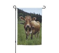 Véritable vache suisse marron - 30,5 x 45,7 cm - Double face - Drapeau de printemps d'été - Drapeaux saisonniers pour pelouse, porche, terrasse