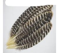 Véritables Plumes d'Aigle Naturelles pour Artisanat 16-18quot;/20-40cm Décor de Plumes d'Oiseau d'Aigle Décoration de Mariage Accessoires de Carnaval-20-25CM 8-10Inch, 10 Pcs