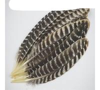 Véritables Plumes d'Aigle Naturelles pour Artisanat 16-18quot;/20-40cm Décor de Plumes d'Oiseau d'Aigle Décoration de Mariage Accessoires de Carnaval-20-25CM 8-10Inch, 10 Pcs