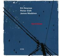 Kit Downes, Petter Eldh et James Maddren – Vermillion – Vinyle 33 tours – Import