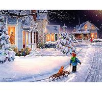 Vermont Christmas Company Cartes de Noël pour la nuit de Noël - boîte de 15 cartes et 16 enveloppes doublées d'aluminium