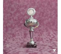 Verner - Crash of The Web Era