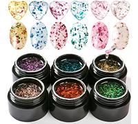 Vernis à ongles en gel de fleurs séchées, Vernis gel Bellecrey Flower Fairy, Soak Off Vernis holographique UV Gel de fleurs véritables Or rose Rose Vert Bleu Violet Vernis à ongles 6 couleurs/ensemble