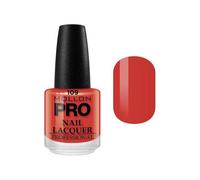 Vernis Classique 15 ml Mollon Pro Terre Cuite Antique - 109