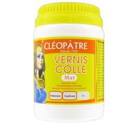 Vernis Colle Mat 250 G