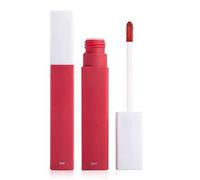 Vernis L vres Mat Doux 5 ml Rouge L vres Liquide Polyvalent Riche et Humide avec Texture de Brume pour Maquillage Intellectuel et D licat 828