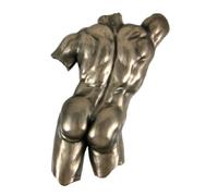 Veronese Design Bronze Finish Nude Male Back Torso Wall Hanging Plaque