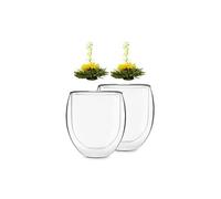 Verre à thé Ice Feelino Lot de 2 avec fleur de thé 320 ml verre borosilicate double paroi