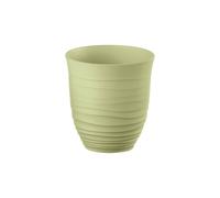 VERRE BAS "TIERRA" Seaweed Green