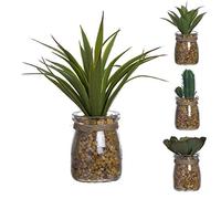 Verre Cadeaux Cactus en pot de verre x 4 modèles 16 cm