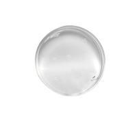 Verre de Montre Vitre 10 6202, 6206 Acrylique Premium Compressé Plexiglass Hésalite Ø 28,6mm H4.00mm -N° 10