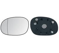 IPARLUX 31544021 Miroir de rétroviseur