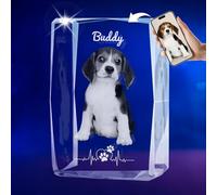 Verre gravé 3D en cristal commémoratif personnalisé image de Noël 15e anniversaire de mariage pour elle cadeau d'anniversaire de mariage