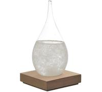 Verre Tempête Baromètre 17 cm Socle Bois et Cristaux Décoration Météo Salon Bureau Maison PELLE A LITIERE - FOURCHE A LI