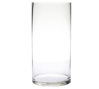 Verre Transparent Grand Vase Cylindrique pour Fleurs Fraîches