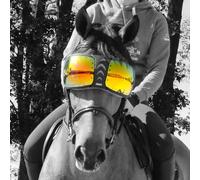 Verres de rechange lunettes cheval eQuick eVysor Vert TU