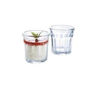 Lot 6 Lunettes En Verre Trempé Eskale CL 09 Transparent Arc