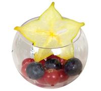 Verrine sphere 12cl plastique rigide transparent (x10)