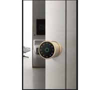 Verrou de porte à empreintes digitales avec reconnaissance des semi-conducteurs, mot de passe et application, sauvegarde par clé mécanique, accès temporaire par mot de passe et port de charge de