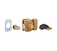 Verrou de Porte d'Entrée Vitrée SURVEYOR - Double Cylindre à Pompes 40mm - Plusieurs Protections de Sécurité - 4 Clés à Insert Laiton et Carte Personnelle - Made in France - Finition Dorée - THIRARD