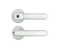 Verrou électronique intelligent à empreintes digitales G48 prend en charge la biofingerprint et le déverrouillage des clés WiFi APP Bluetooth pour porte en bois (argent standard)